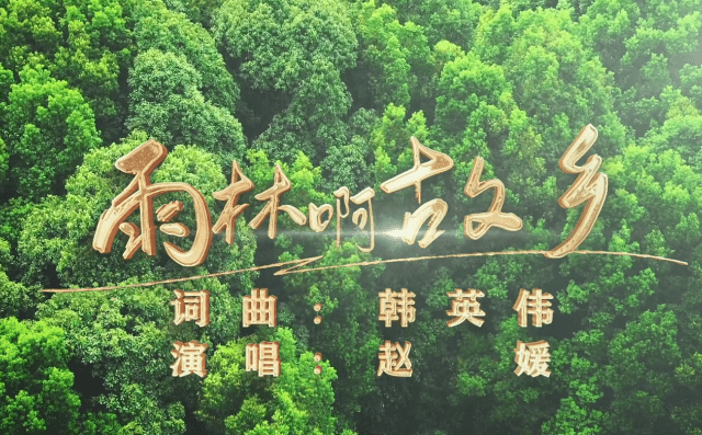 《雨林啊故鄉》