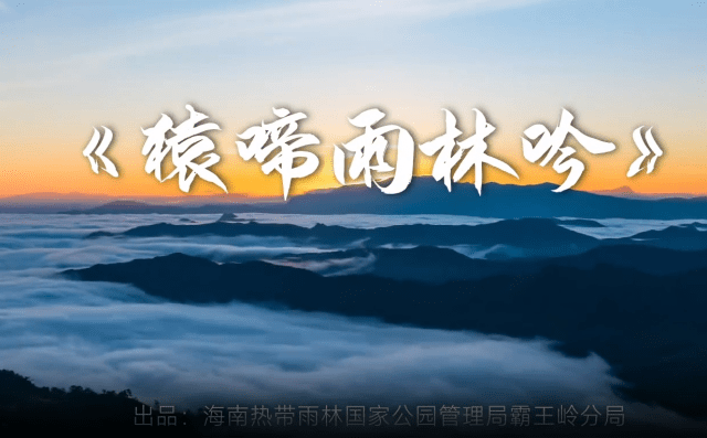 海南長臂猿宣傳MV上線 聆聽來自雨林的天籟之音