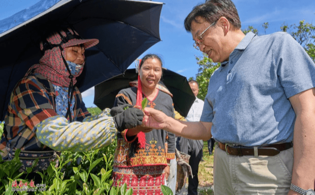 馮飛:讓民族文化更鮮明 讓生態(tài)優(yōu)勢更彰顯 積極探索白沙高質(zhì)量發(fā)展的特色路徑